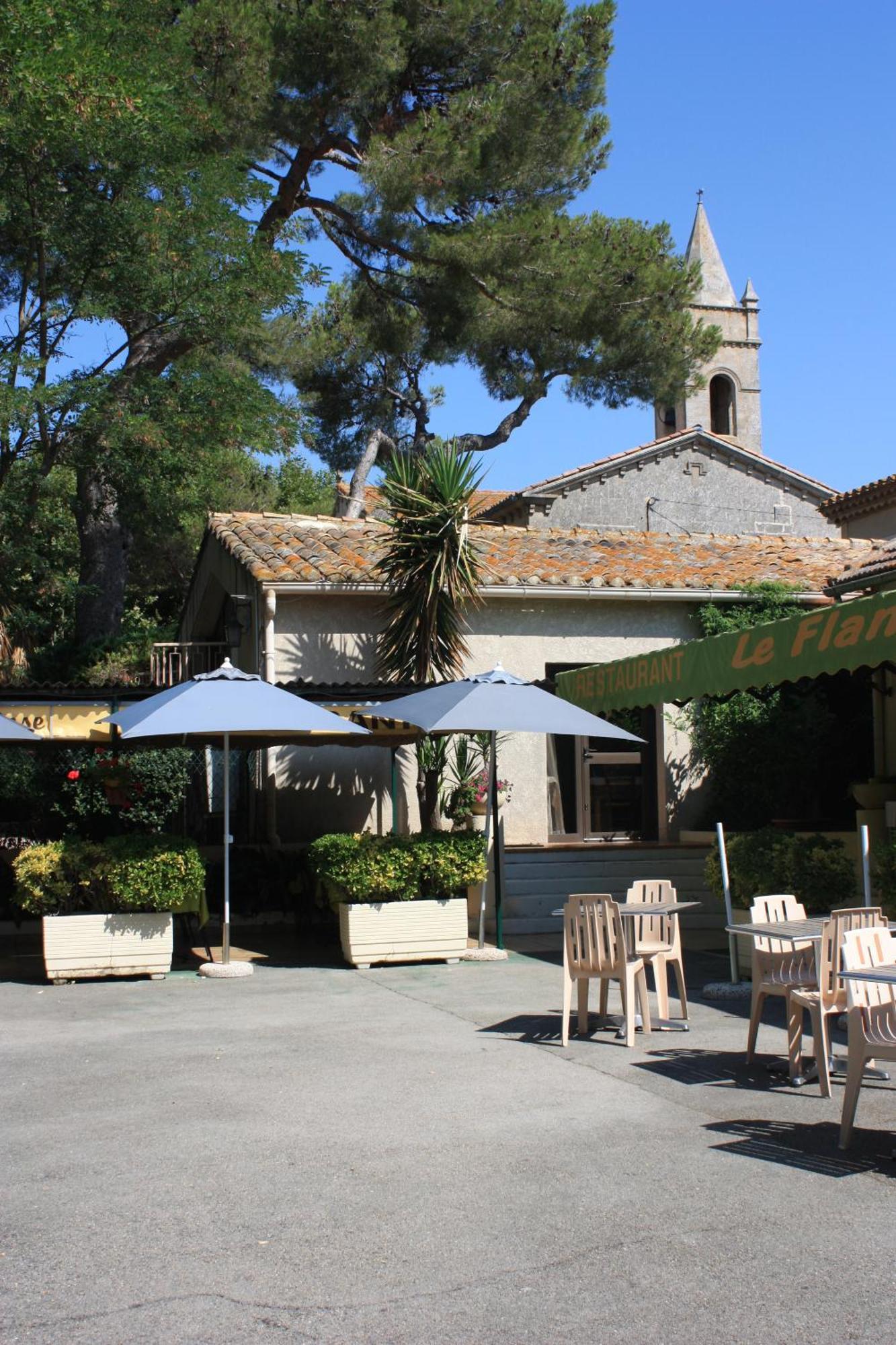 Logis Hotel Restaurant Le Flamant Rose Camargue Albaron Exterior foto