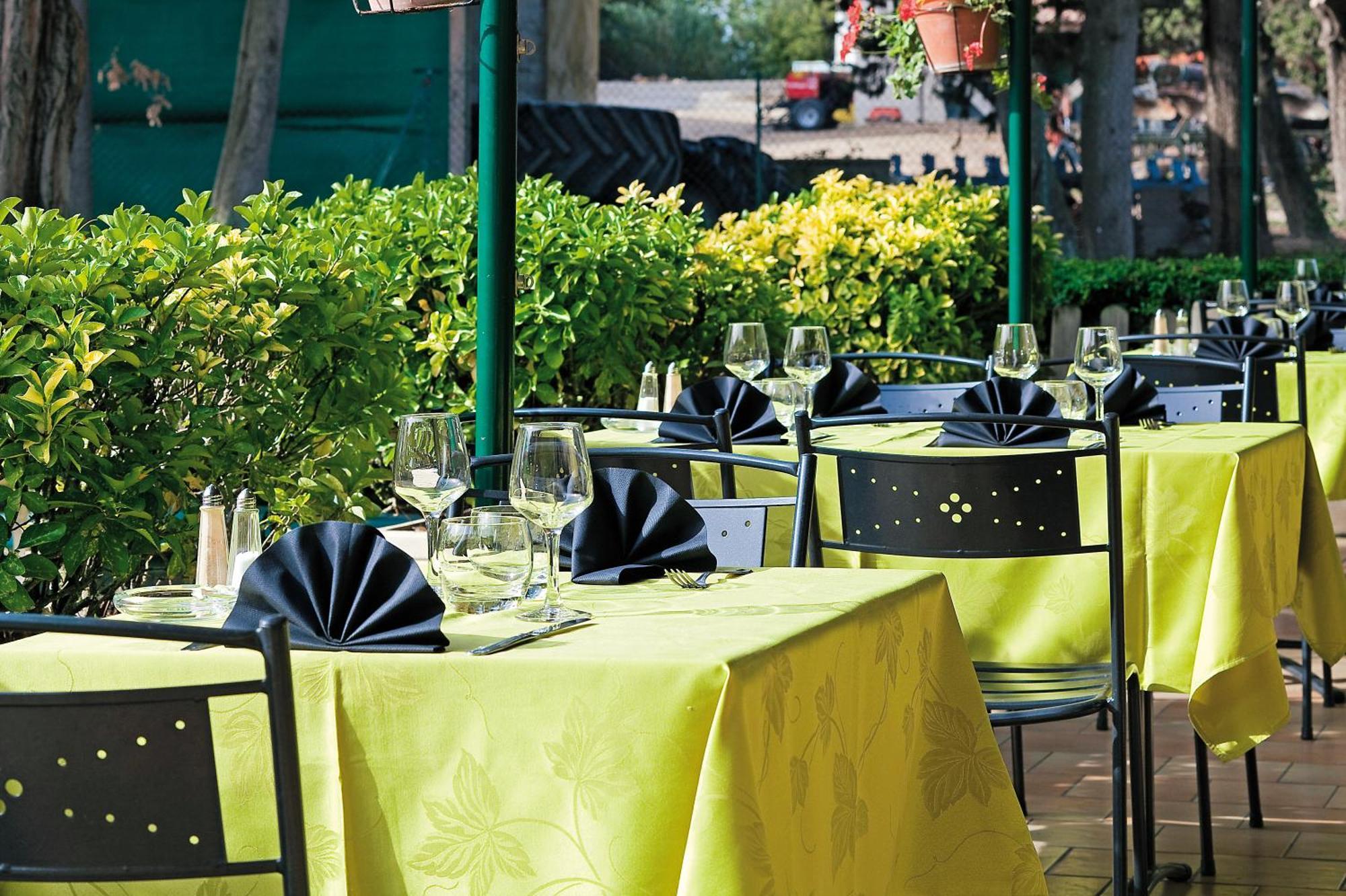 Logis Hotel Restaurant Le Flamant Rose Camargue Albaron Exterior foto